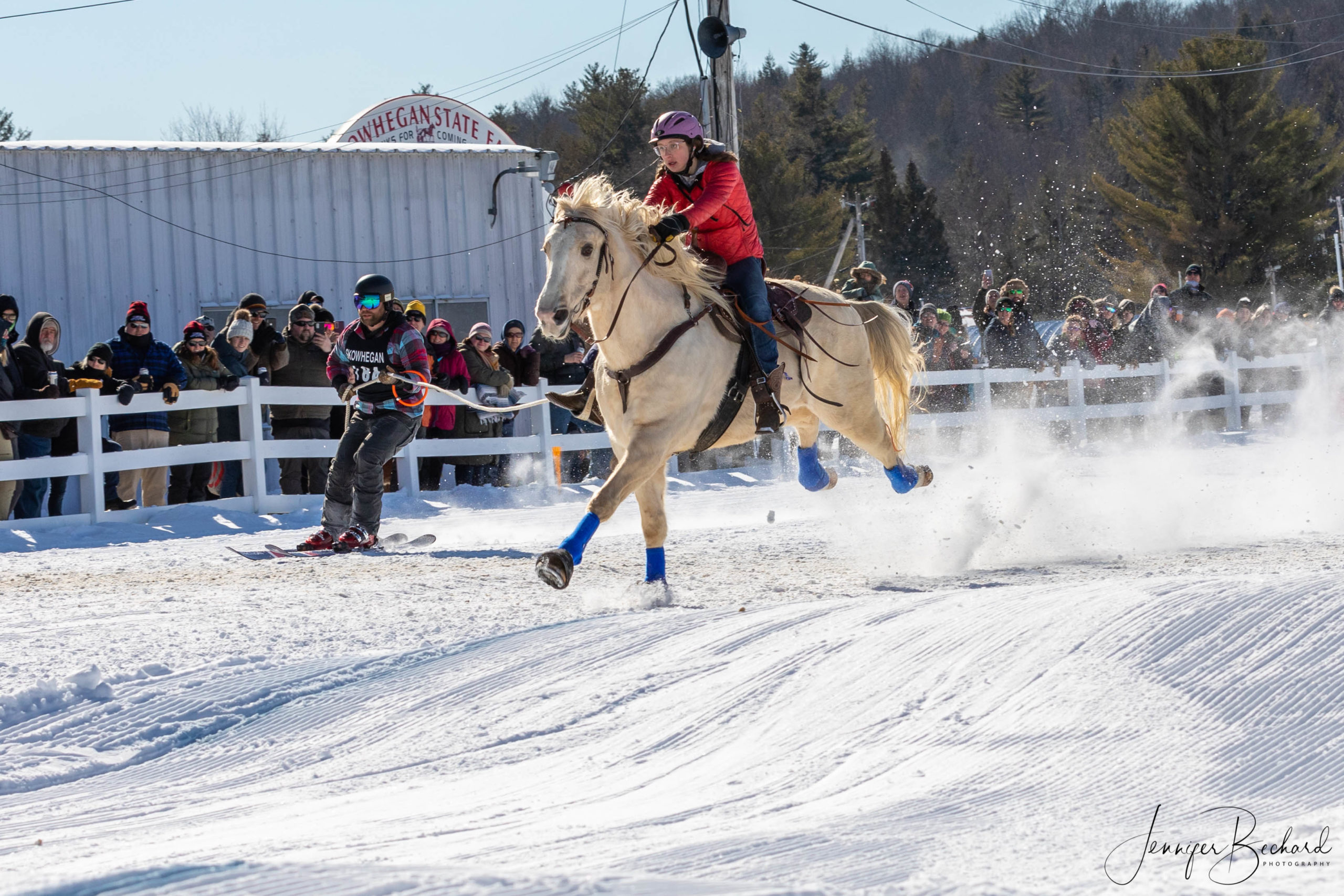 Maine Skijoring for Equestrians & Skiers
